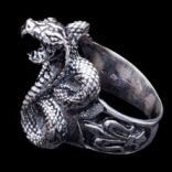 Prstene bez kameňov - Prsteň strieborný, had (kobra), fleur de lis