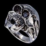Prstene bez kameňov - Prsteň strieborný, lebka (upír)