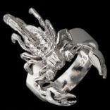 Prstene bez kameňov - Prsteň strieborný, škorpión Veľkosť 52